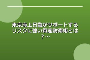 東京海上日動がサポートするリスクに強い資産防衛術とは？